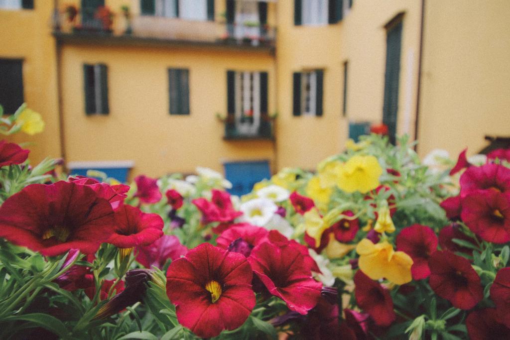 Martindago Bed & Breakfast Florenţa Exterior foto